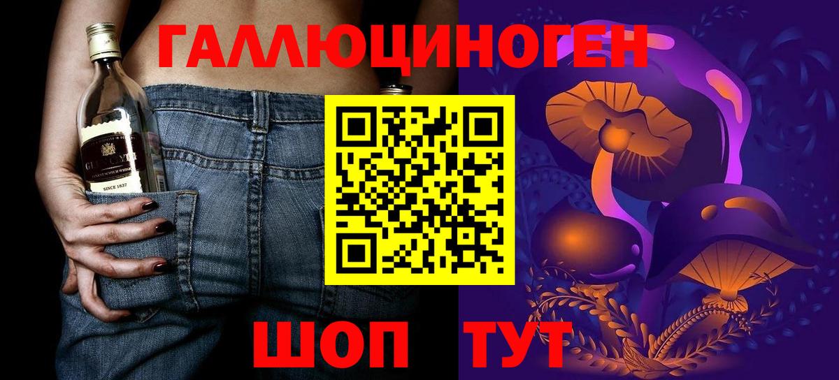 Псилоцибиновые грибы Psilocybe Клинцы
