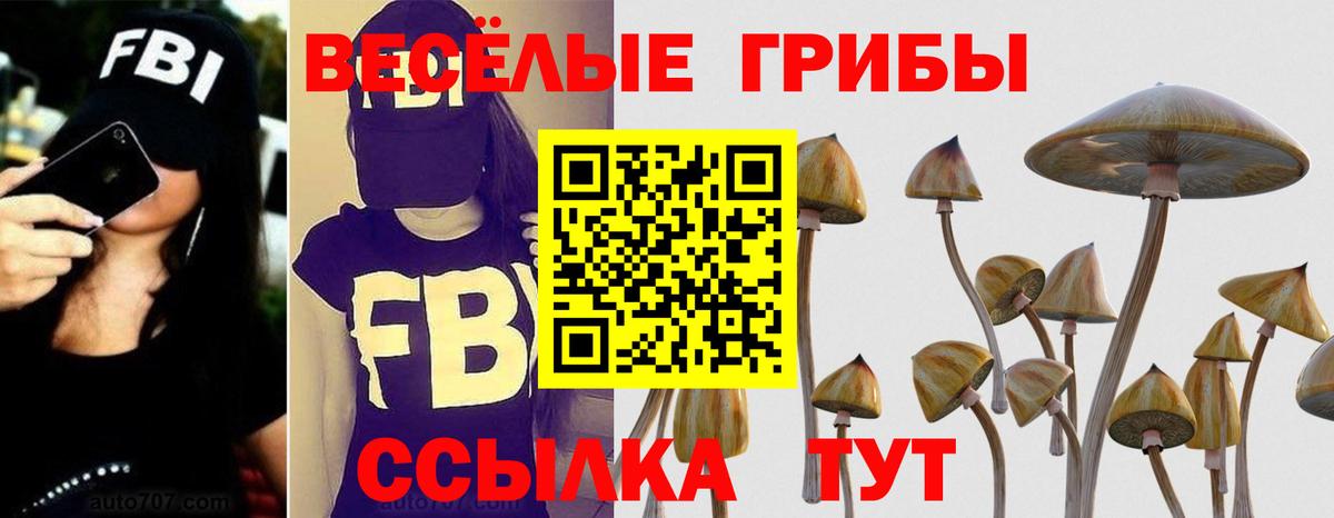 Клинцы  Псилоцибиновые грибы Magic Shrooms  дарнет шоп  Вход с VPN 